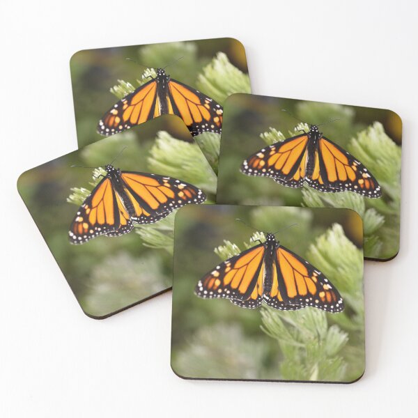 Item preview, Monarch Butterfly Spreading its Wings designed and sold by imaginethis.