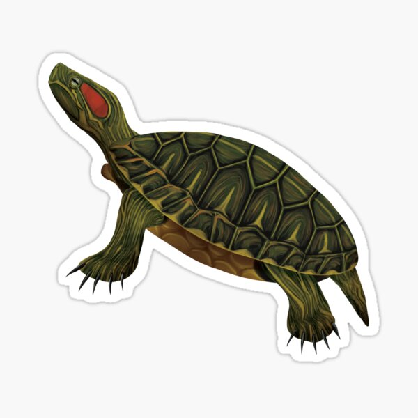 Item preview, Red-eared Slider (Trachemys scripta elegans) Digital Painting designed and sold by Inuyasha907.