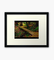 Perfect Resting Place Framed Print