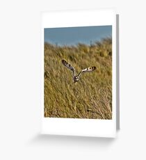 Northumberland Greeting Card