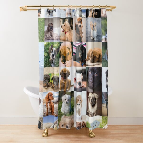 pug and golden retriever mix