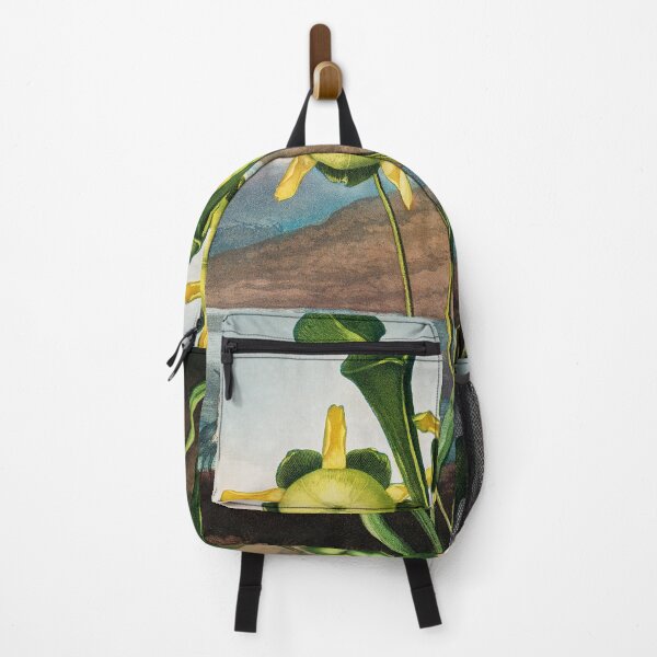 Item preview, Painting Art, Robert John Thornton Artist Paintings, Pitcher Plant from The Temple of Flora designed and sold by SasyJamArt.