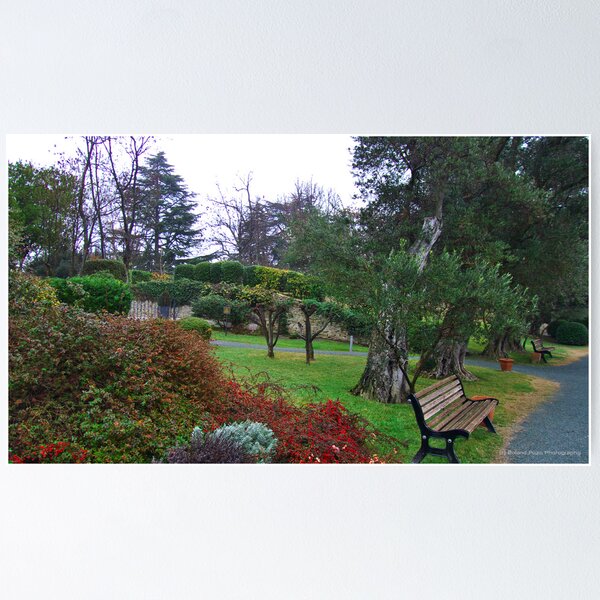 Item preview, The Gardens of San Maurizio designed and sold by photorolandi.