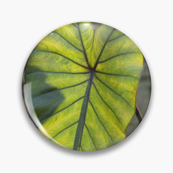 Item preview, Leaf on the light designed and sold by agnessa38.