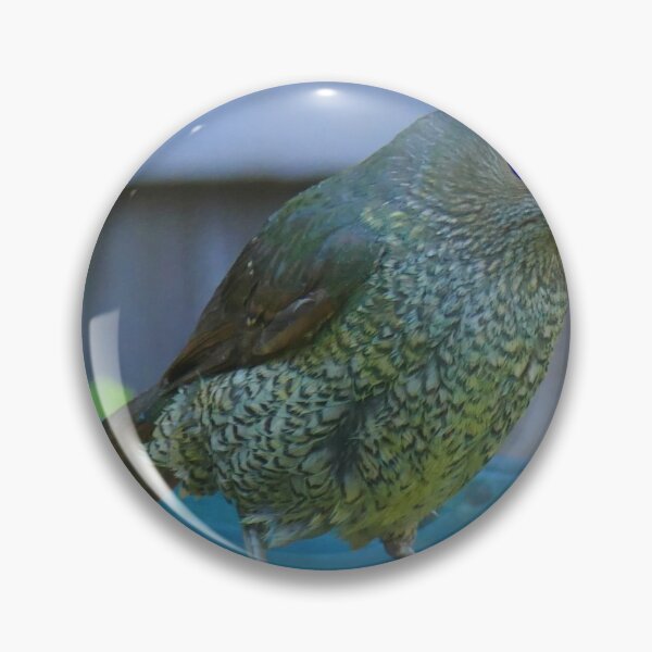 Item preview, Satin Bowerbird in an oval designed and sold by Colin Dixon.