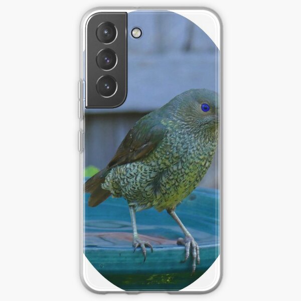 Satin Bowerbird Phone Cases for Sale Redbubble