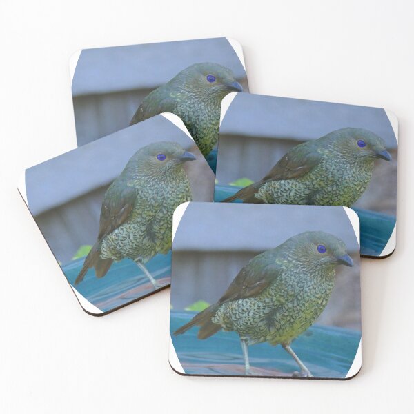Item preview, Satin Bowerbird in an oval designed and sold by Colin Dixon.
