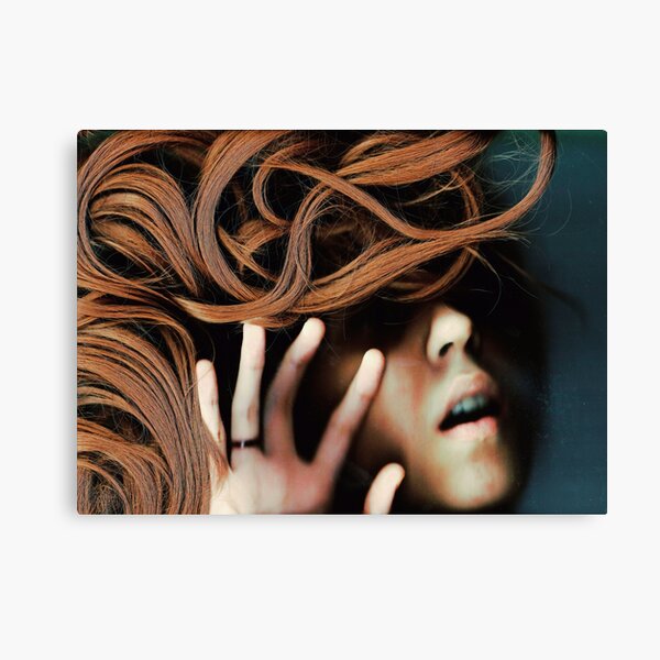 130527 Canvas Print