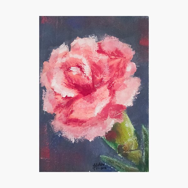 Carnation Photographic Print