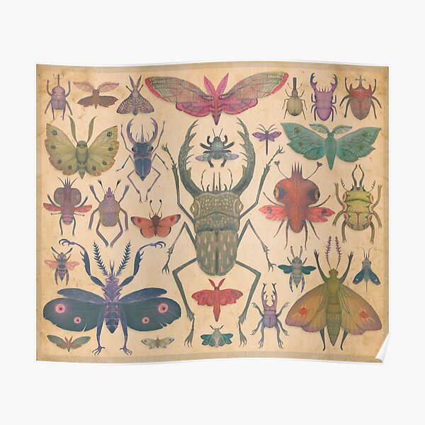 Entomologist's Wish Poster