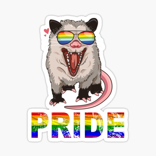 Lgbt Possum Gay Pride Rainbow Lgbtq Cute Opossum Sticker For Sale By Brucefaulkner Redbubble