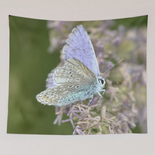 Item preview, SILVERED BUTTERFLY designed and sold by Eston Kamau.