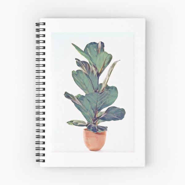 Item preview, Potted Fig designed and sold by kfletcher44.