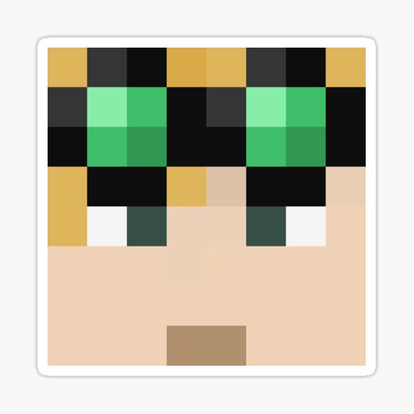 Logo Brianna Playz Minecraft Skin