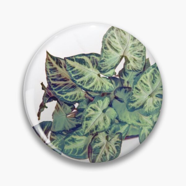 Item preview, Plant designed and sold by kfletcher44.