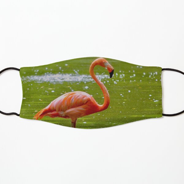 Florida Flamingo Kids Mask