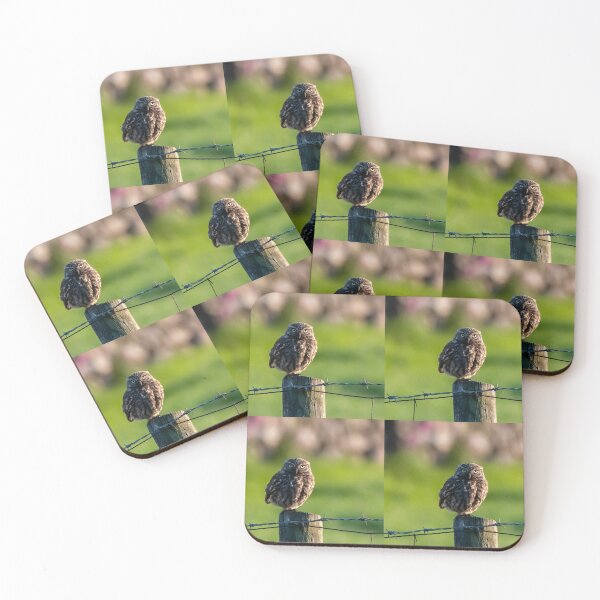 Item preview, little owl designed and sold by tammy mellor.