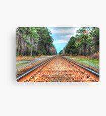 the tracks Canvas Print