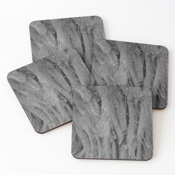 Item preview, Trunk of Carpinus betulus designed and sold by Treemonk.