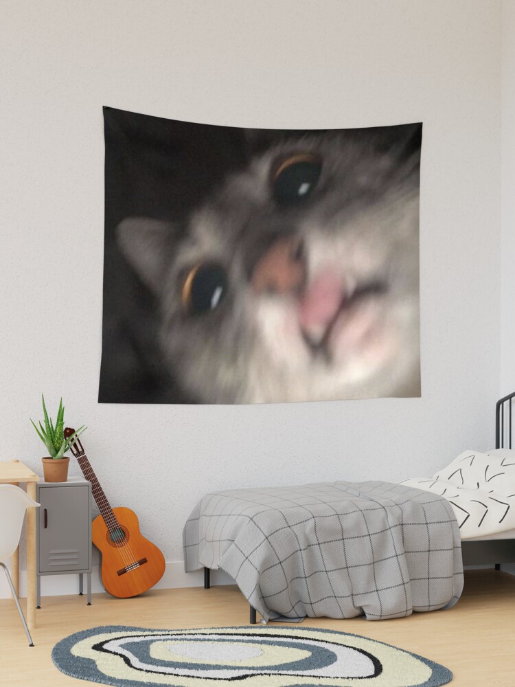 Funny Cat Meme Blur Tapestry for Sale by volkaneeka