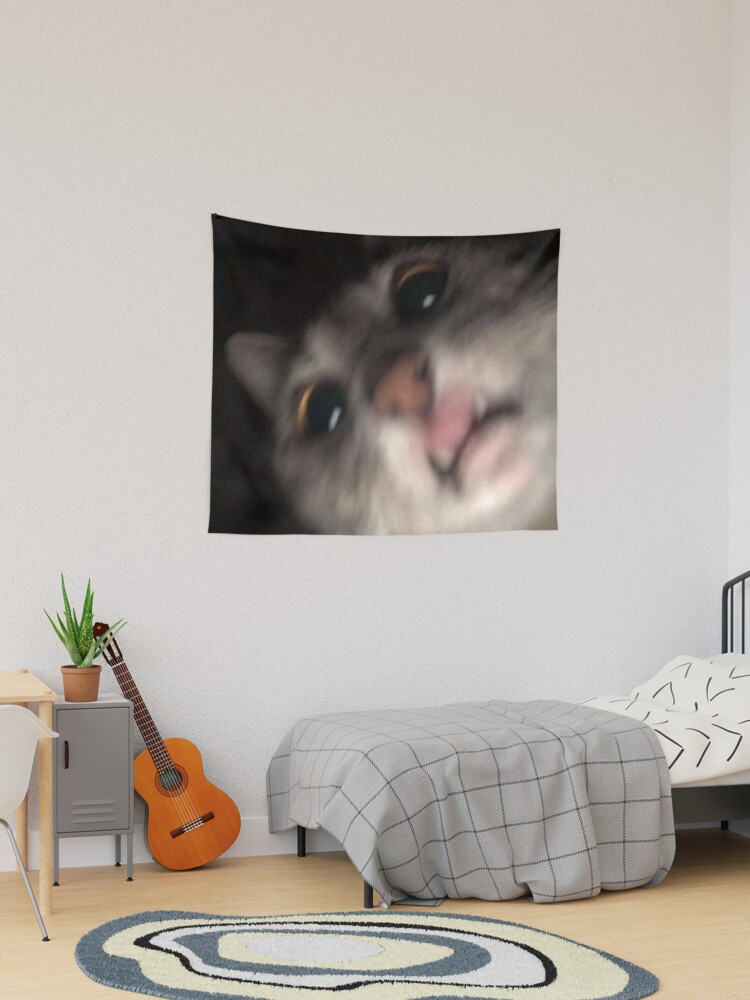 Funny Cat Meme Blur Tapestry for Sale by volkaneeka