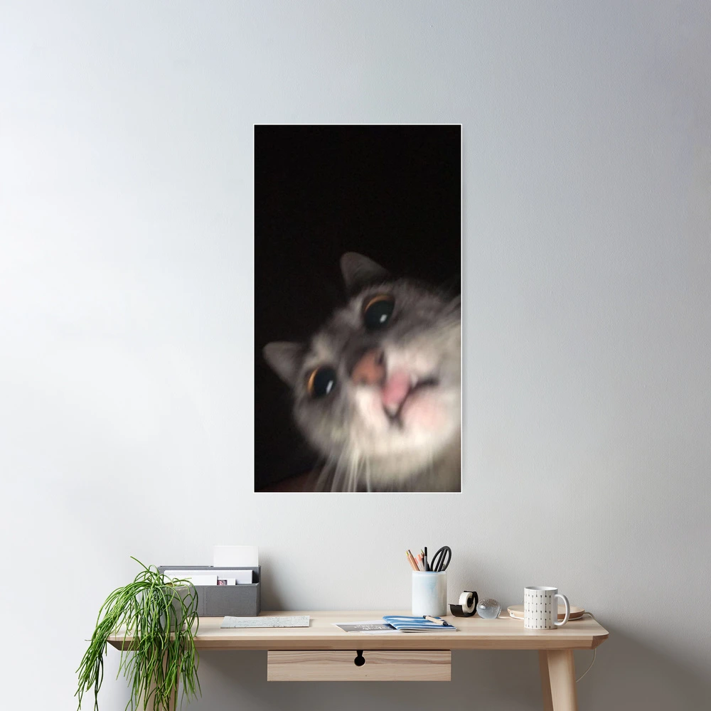 Funny Cat Meme Blur Tapestry for Sale by volkaneeka