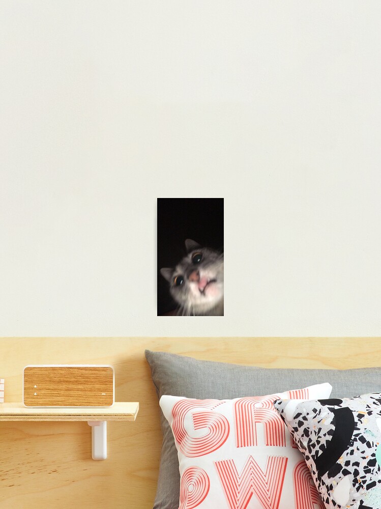 Funny Cat Meme Blur Tapestry for Sale by volkaneeka