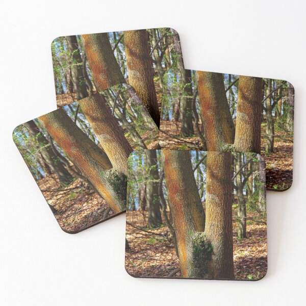 Item preview, Trunk of a maple tree in morning light designed and sold by Treemonk.