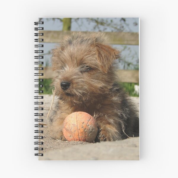 Item preview, Keep your eye on the ball designed and sold by Barrie Woodward.