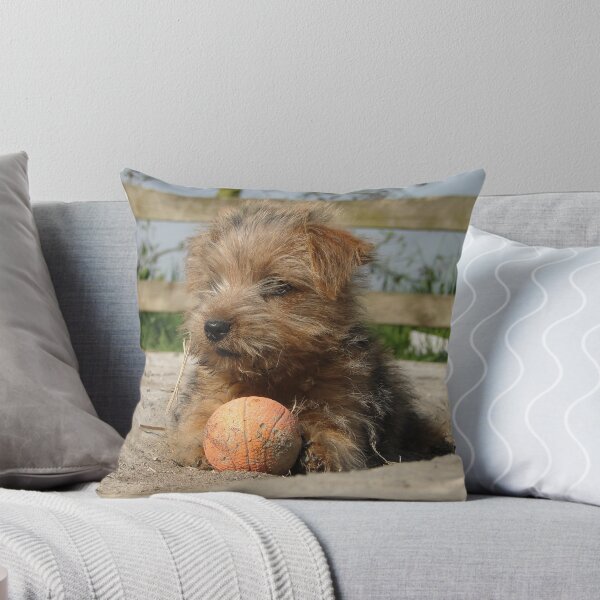 Item preview, Keep your eye on the ball designed and sold by Barrie Woodward.