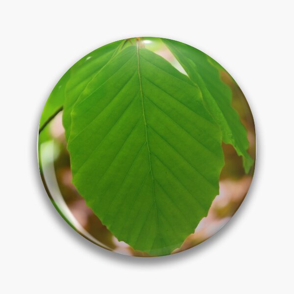 Item preview, Beautiful beech tree leave designed and sold by Treemonk.