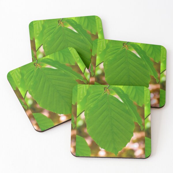 Item preview, Beautiful beech tree leave designed and sold by Treemonk.