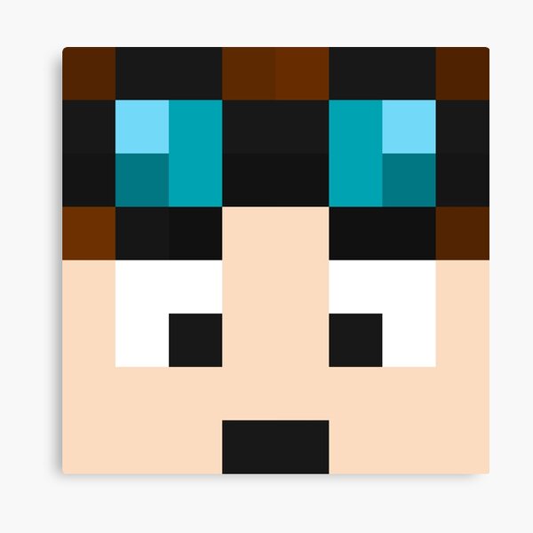 Thediamondminecart Minecraft Skin Canvas Print By Youtubedesign Redbubble - preston playz roblox skin