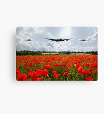 Poppy Flypast Canvas Print