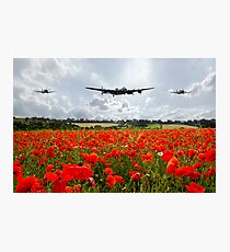 Poppy Flypast Photographic Print