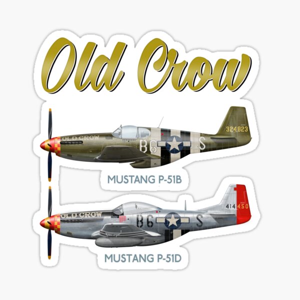 Aircraft Nose Art Stickers for Sale