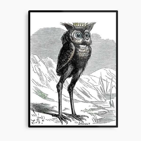 Stolas long legged creepy owl Metal Print
