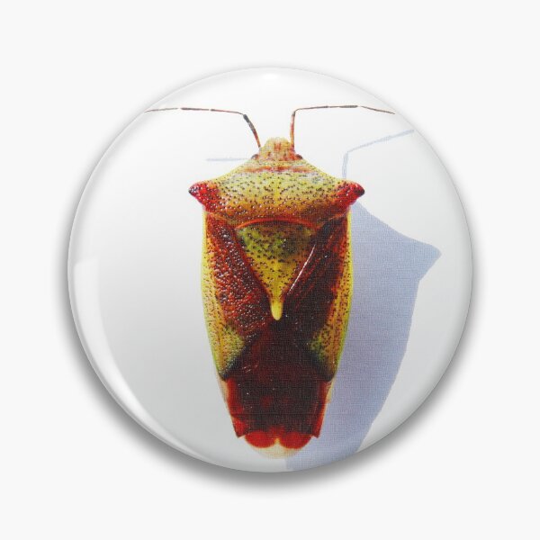 Item preview, Pentatomidae designed and sold by CcaresS.