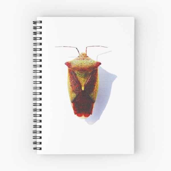 Item preview, Pentatomidae designed and sold by CcaresS.