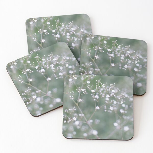 Item preview, White Baby's Breath (Gypsophila paniculata) flowers designed and sold by lena-maximova.