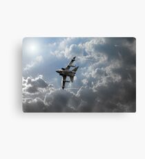 Air Superiority Canvas Print