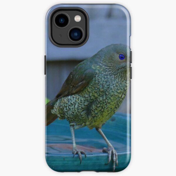 Satin Bowerbird Phone Cases for Sale Redbubble