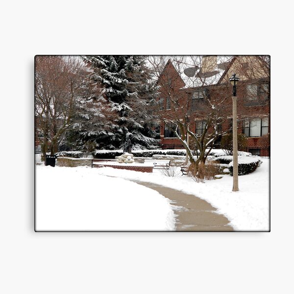 Dog Park © Canvas Print