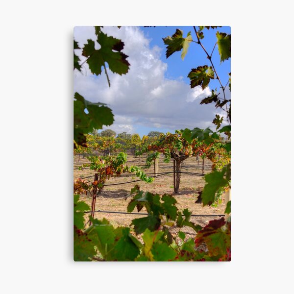 After The Storm Canvas Print