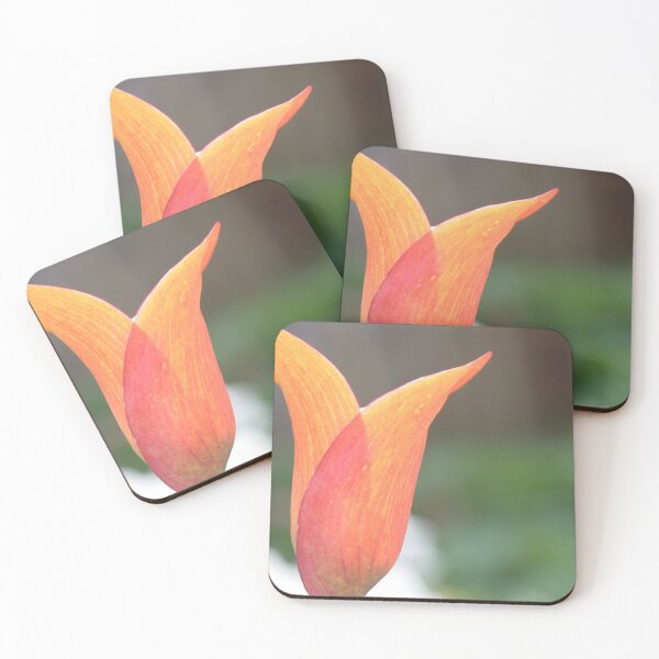 Item preview, Tulip designed and sold by XCEEDTRANSITION.