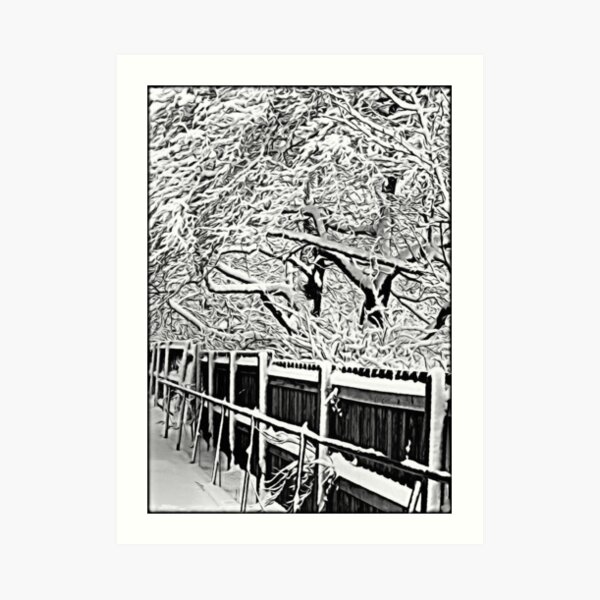 My Backyard © Art Print