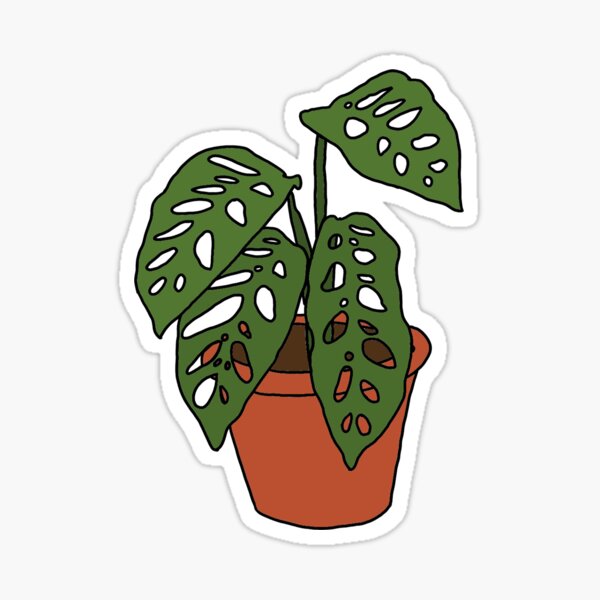 Monstera Albo Plant Sun Catcher Sticker – Tiny Plant Market