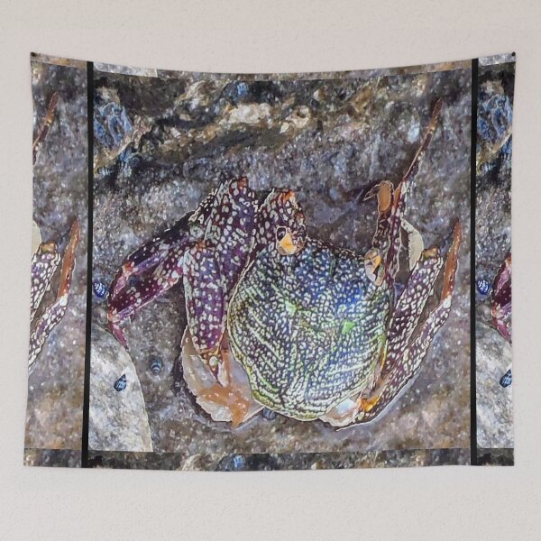 Item preview, Best fishing gifts for fish lovers 2022. Crab camouflaged against rocks on the beach designed and sold by Artonmytee.
