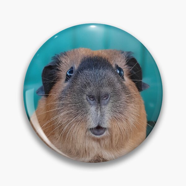 Item preview, Peanut Guinea Pig Cute Selfie! designed and sold by OfficialPigDad.