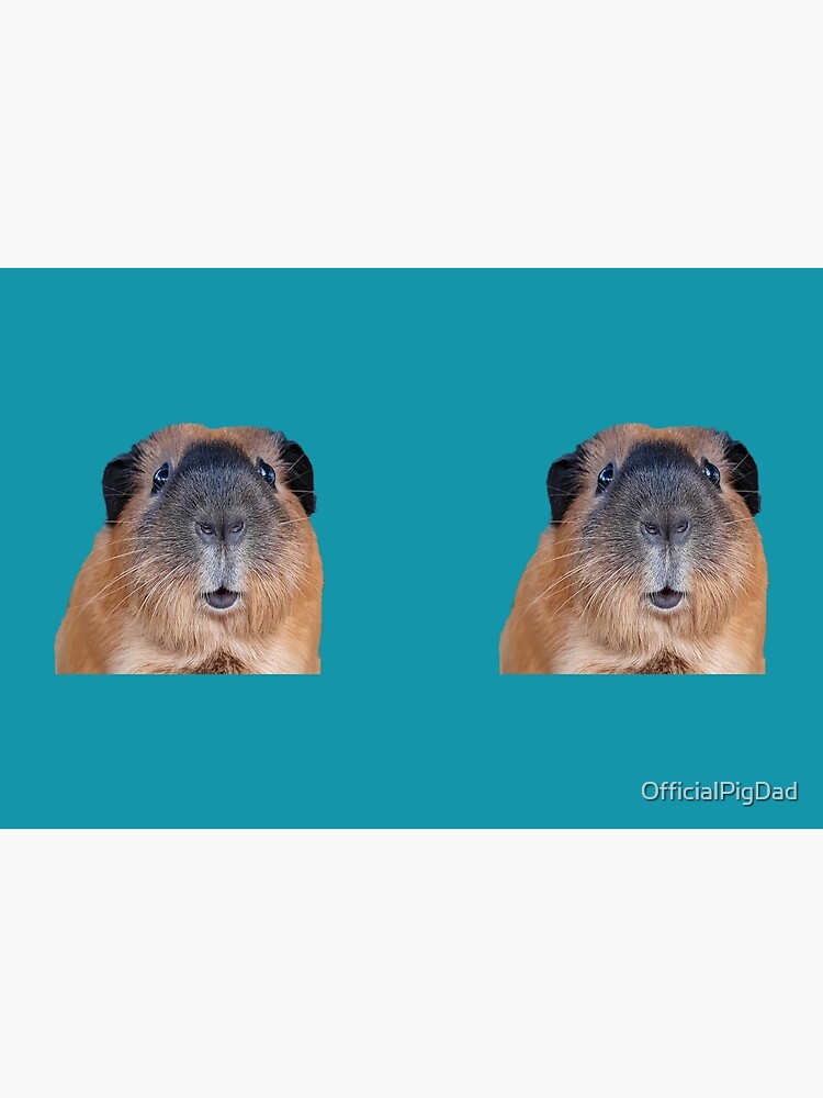 peanut guinea pig